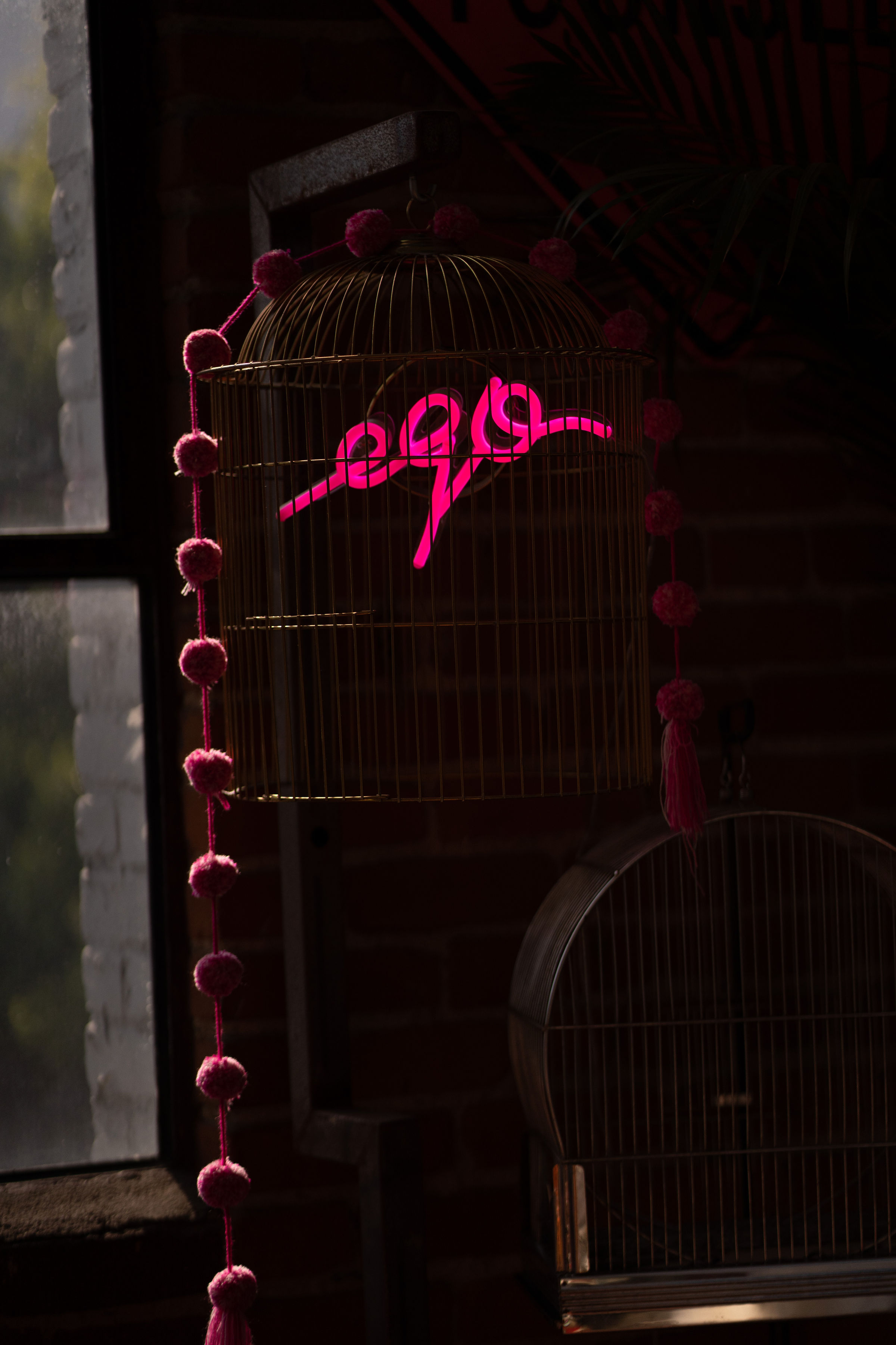 Olivia Steele