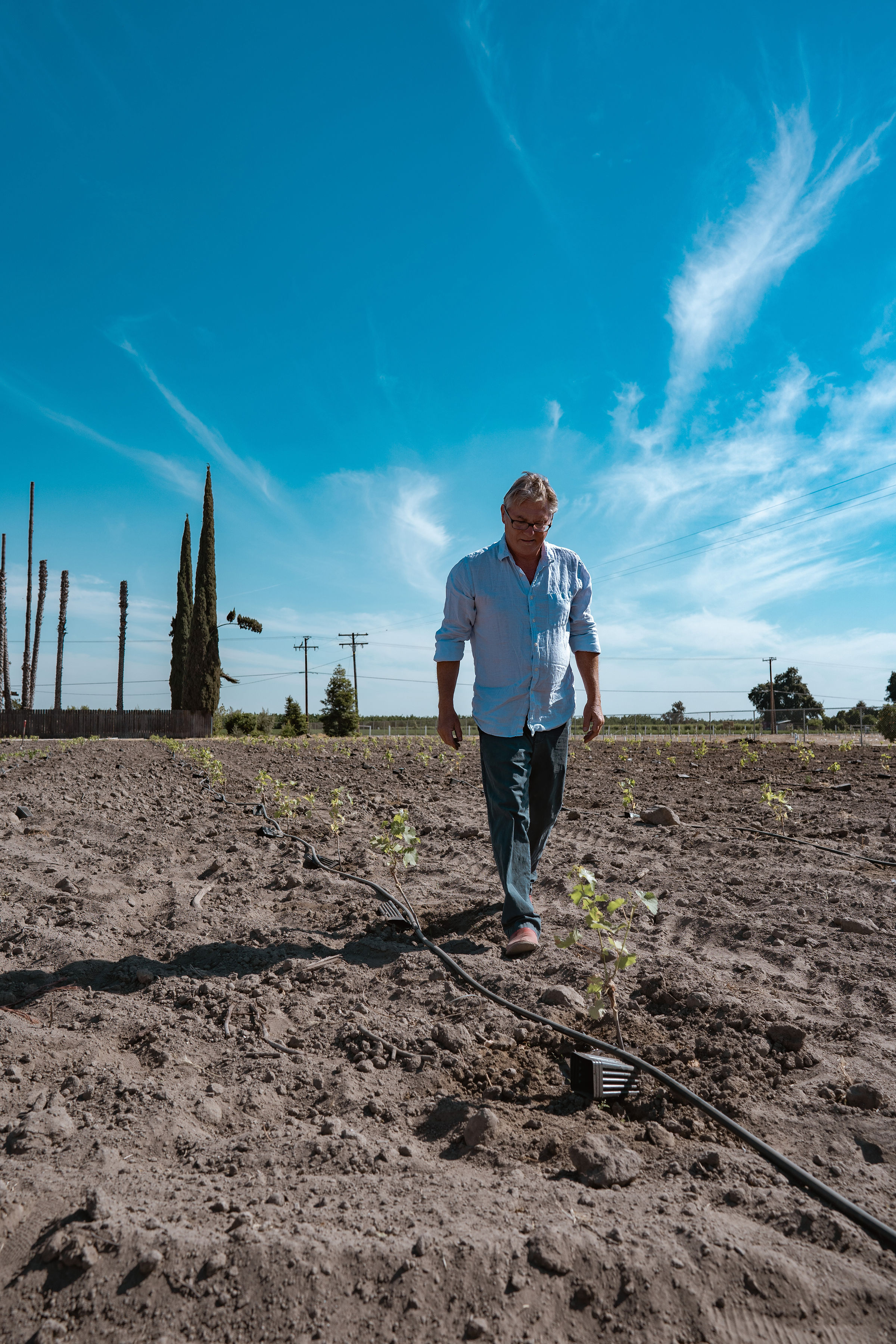 Shane Guffogg- The Growing Vineyard